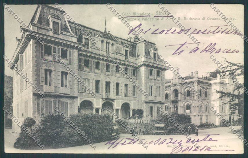 Verbania Stresa cartolina ZQ5605 – fronte
