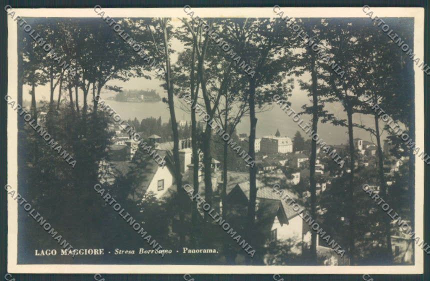 Verbania Stresa Foto cartolina ZQ5629 – fronte