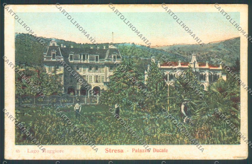Verbania Stresa cartolina ZQ5635 – fronte