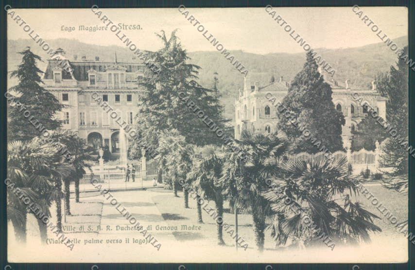 Verbania Stresa cartolina ZQ5637 – fronte