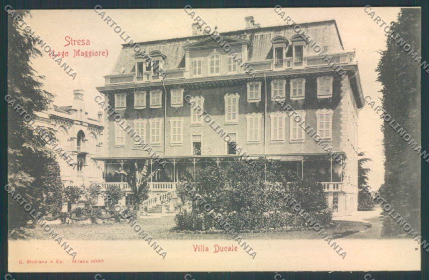Verbania Stresa cartolina ZQ5642 – fronte
