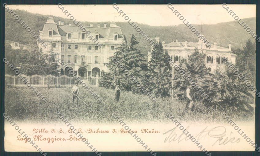 Verbania Stresa RIFILATA cartolina ZQ5649 – fronte