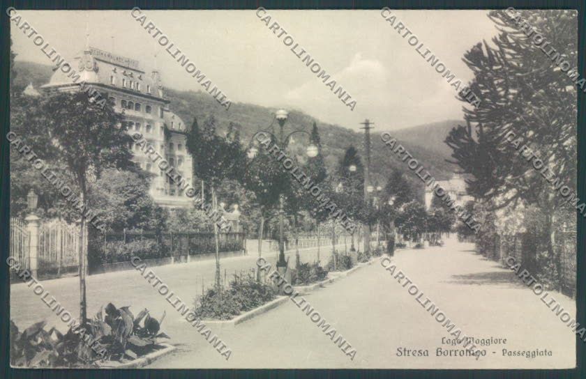 Verbania Stresa cartolina ZQ5655 – fronte