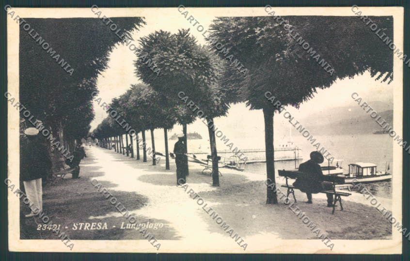 Verbania Stresa cartolina ZQ5664 – fronte