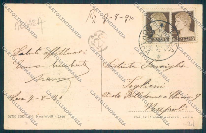 Novara Lesa ABRASA cartolina ZQ6049 – retro