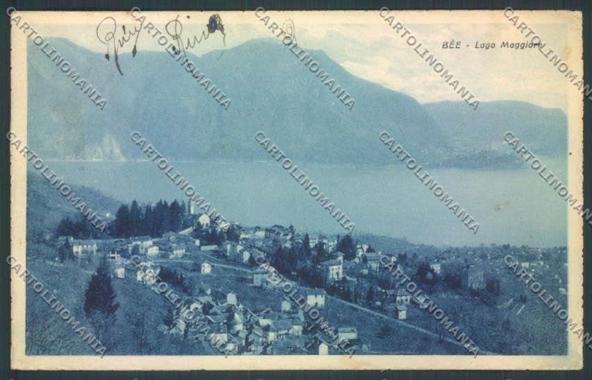 Verbania Bee cartolina ZQ6066 – fronte