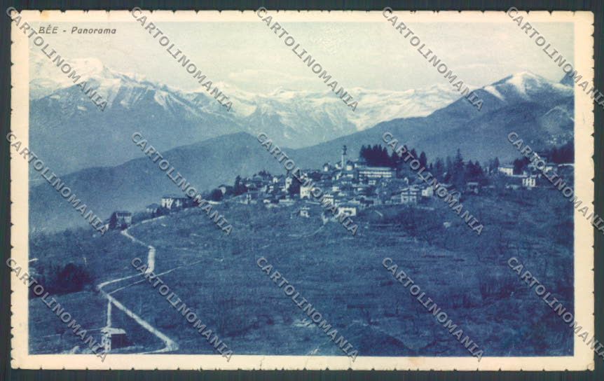 Verbania Bee PIEGHINE cartolina ZQ6069 – fronte