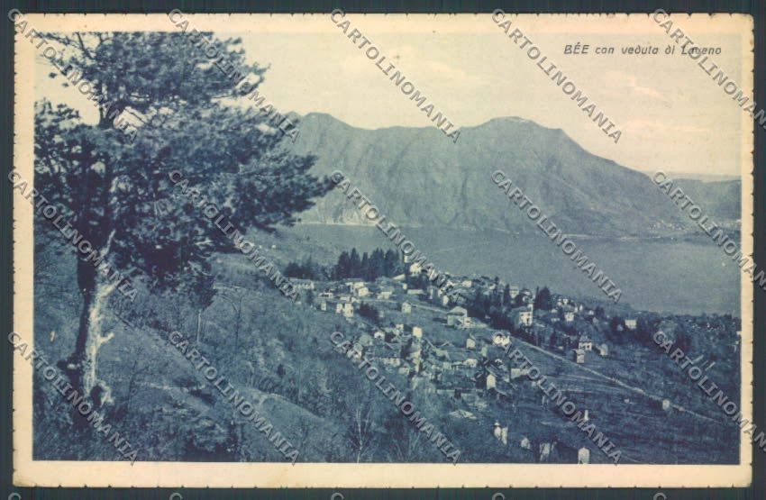 Verbania Bee cartolina ZQ6071 – fronte