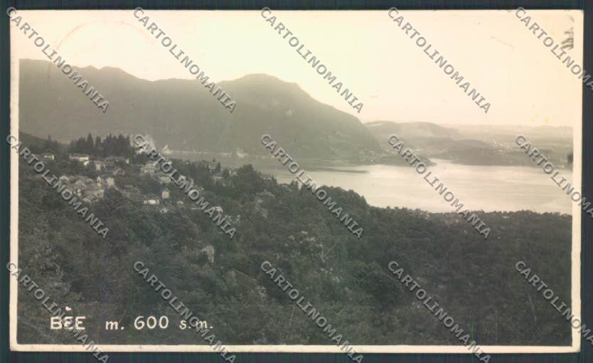Verbania Bee PIEGHINA Foto cartolina ZQ6072 – fronte