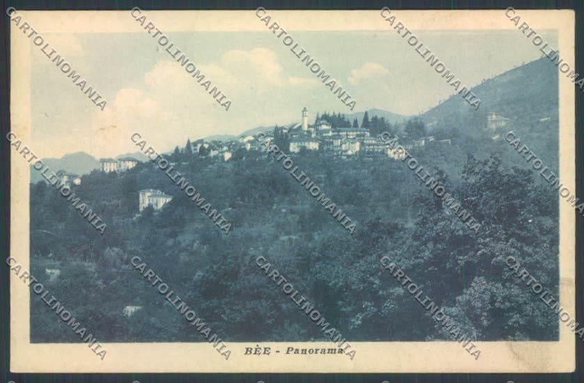 Verbania Bee cartolina ZQ6074 – fronte