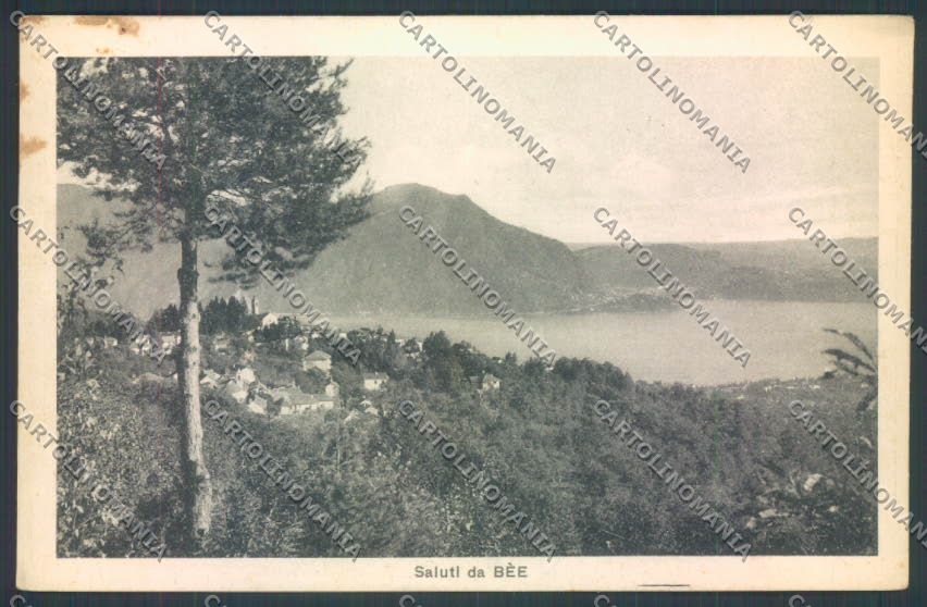 Verbania Bee cartolina ZQ6085 – fronte