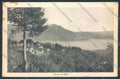 Verbania Bee cartolina ZQ6085 – fronte
