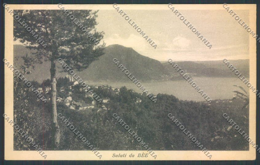 Verbania Bee cartolina ZQ6086 – fronte