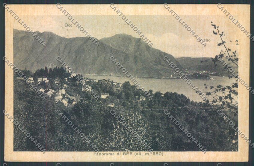 Verbania Bee cartolina ZQ6090 – fronte