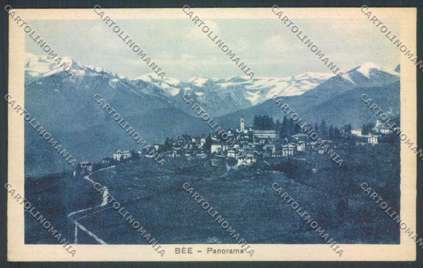 Verbania Bee cartolina ZQ6094 – fronte