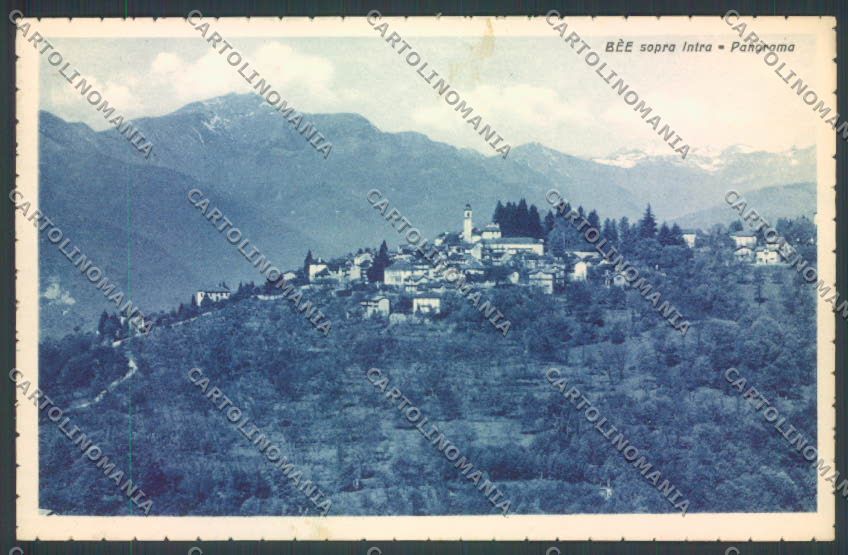 Verbania Bee cartolina ZQ6097 – fronte