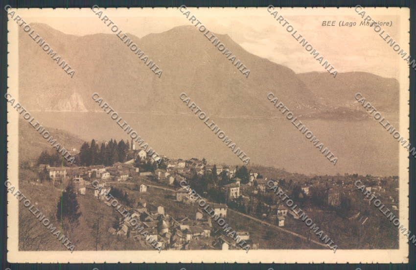 Verbania Bee cartolina ZQ6099 – fronte