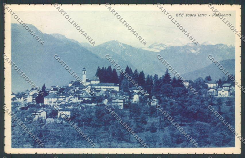 Verbania Bee cartolina ZQ6103 – fronte