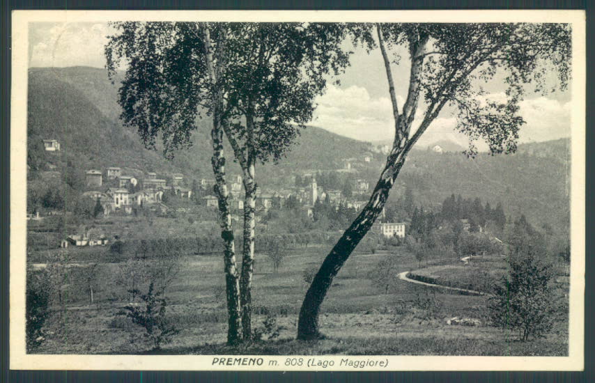 Verbania Premeno cartolina ZQ6585 – fronte