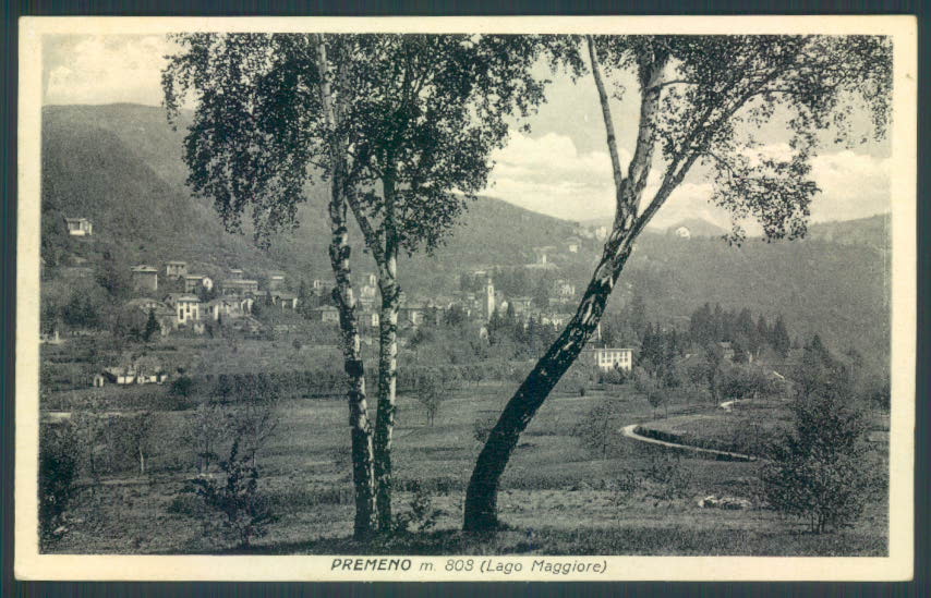 Verbania Premeno cartolina ZQ6602 – fronte