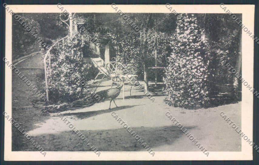 Verbania Ghiffa Casa di Cura cartolina ZQ7068 – fronte
