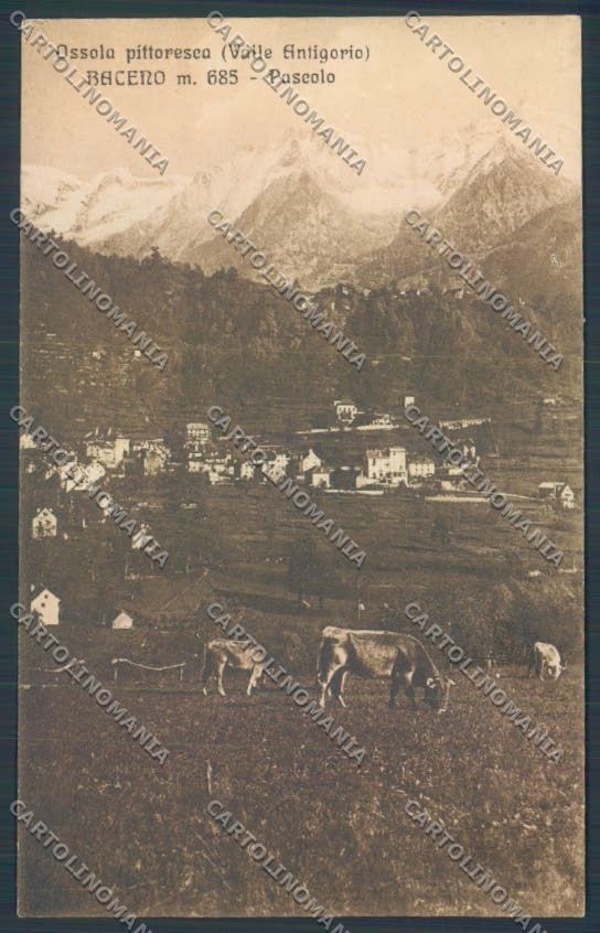 Verbania Baceno cartolina ZQ7094 – fronte