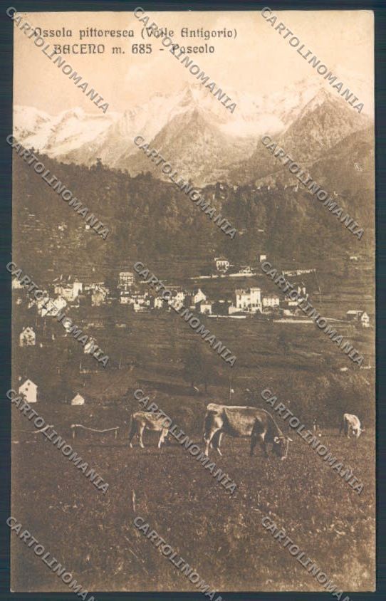 Verbania Baceno cartolina ZQ7100 – fronte