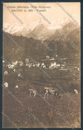 Verbania Baceno cartolina ZQ7100 – fronte