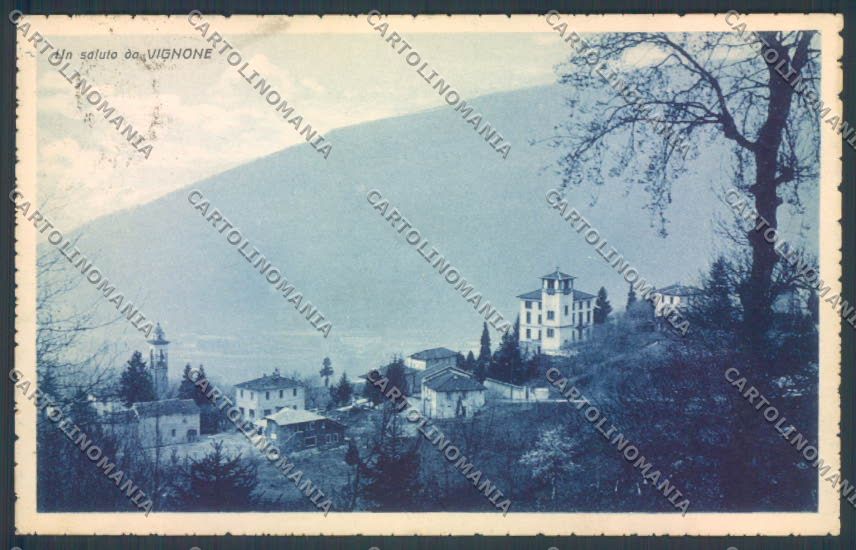Verbania Vignone cartolina ZQ7141 – fronte