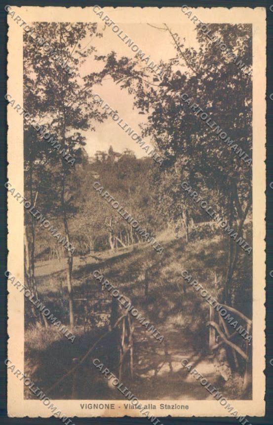 Verbania Vignone cartolina ZQ7151 – fronte