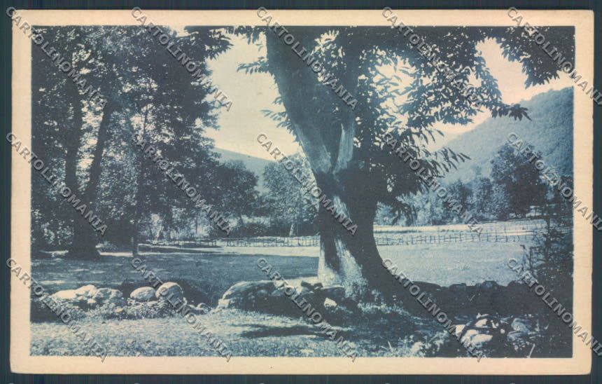 Verbania Stresa Magognino cartolina ZQ7156 – fronte