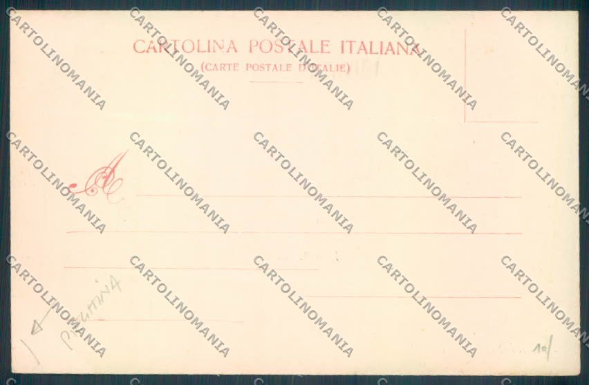 Verbania Orta PIEGHINA cartolina ZQ7252 – retro