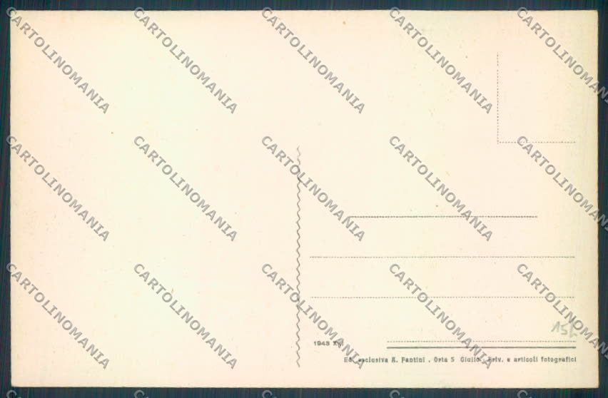 Verbania Orta cartolina ZQ7261 – retro