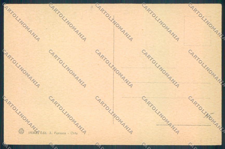 Verbania Orta cartolina ZQ7267 – retro