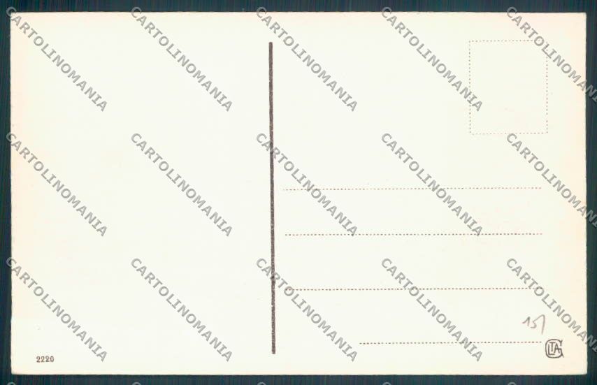 Verbania Orta cartolina ZQ7295 – retro