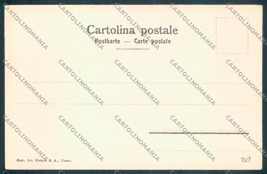 Verbania Orta cartolina ZQ7425 – retro