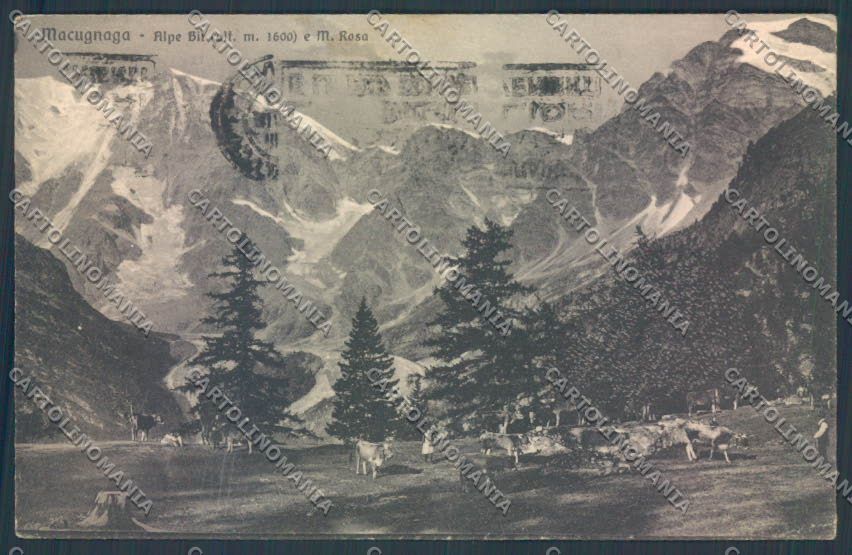 Verbania Macugnaga Monte Rosa cartolina ZQ7470 – fronte