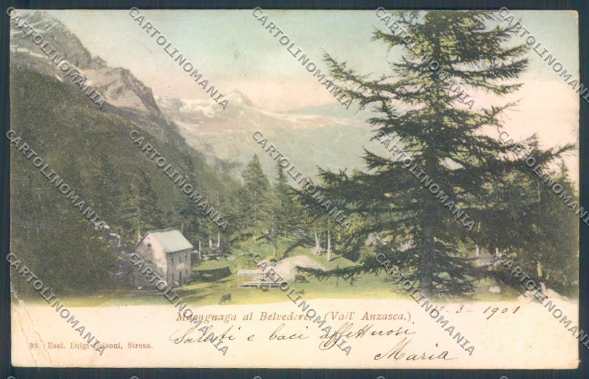 Verbania Macugnaga PIEGHE cartolina ZQ7494 – fronte
