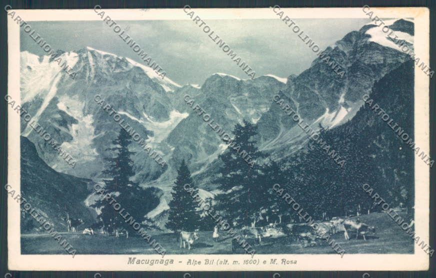 Verbania Macugnaga Monte Rosa cartolina ZQ7513 – fronte