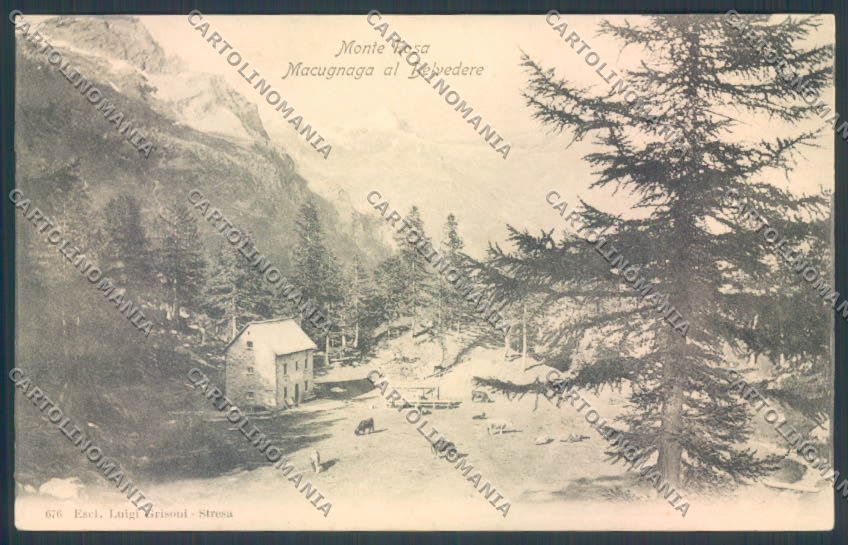 Verbania Macugnaga Monte Rosa cartolina ZQ7595 – fronte