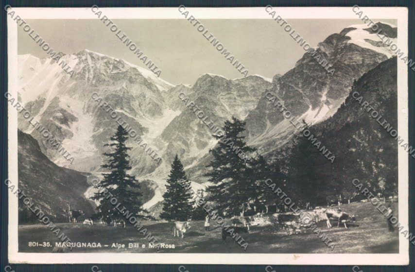 Verbania Macugnaga Monte Rosa Foto cartolina ZQ7617 – fronte