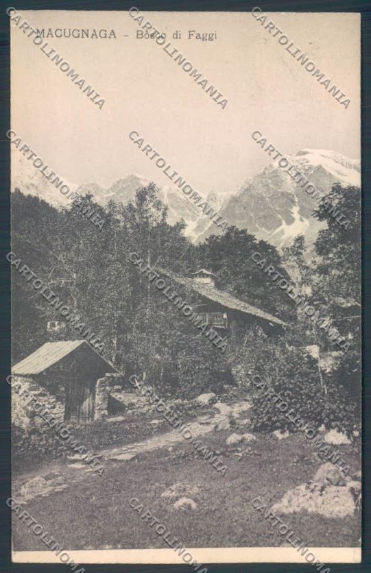 Verbania Macugnaga cartolina ZQ7653 – fronte