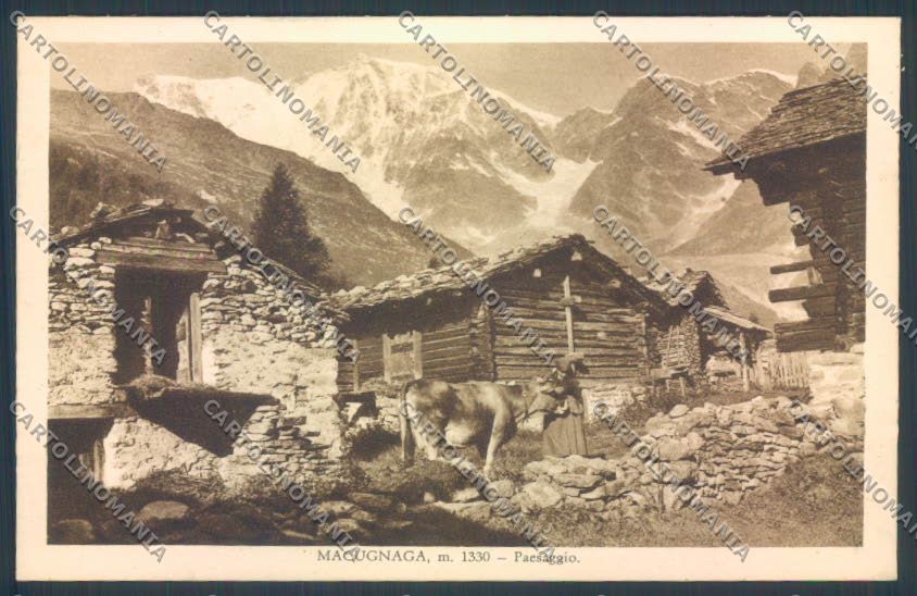 Verbania Macugnaga Monte Rosa cartolina ZQ7719 – fronte