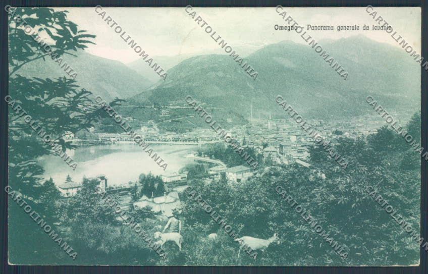 Verbania Omegna Capre cartolina ZQ7791 – fronte