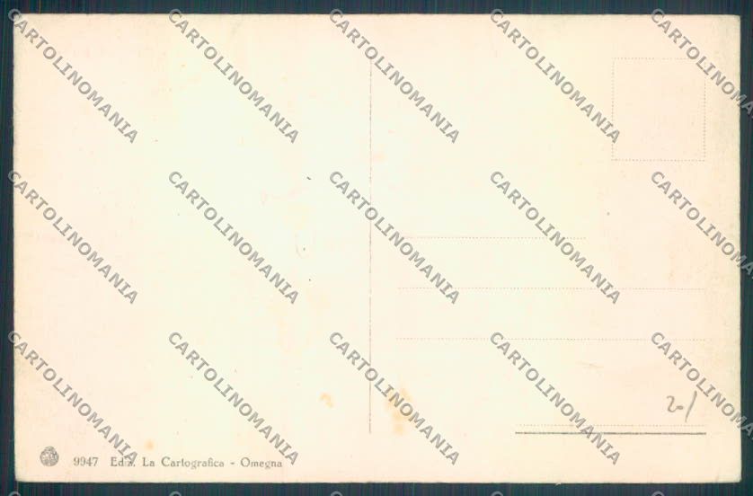 Verbania Omegna cartolina ZQ7802 – retro