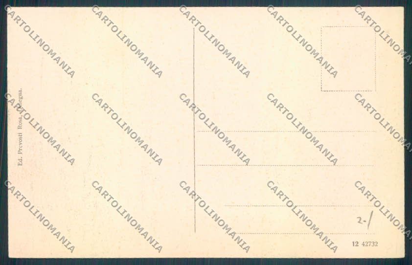 Verbania Omegna cartolina ZQ7803 – retro