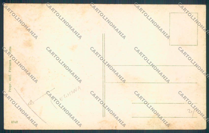 Novara Miasino PIEGHINA cartolina ZQ7846 – retro