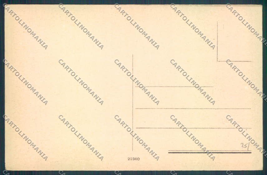 Verbania Calasca Castiglione cartolina ZQ7964 – retro