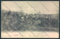 Novara Armeno Coiromonte cartolina ZQ8089 – fronte