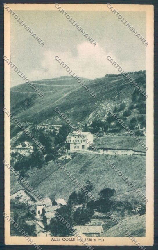 Verbania Premeno Alpe Colle cartolina ZQ8098 – fronte